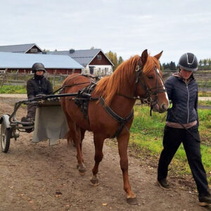 Hevoskimppa vuosimaksu